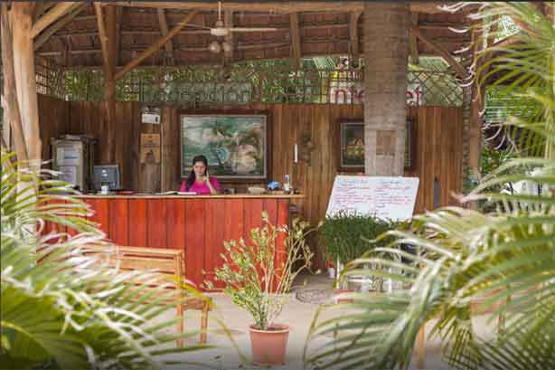 Reception zone